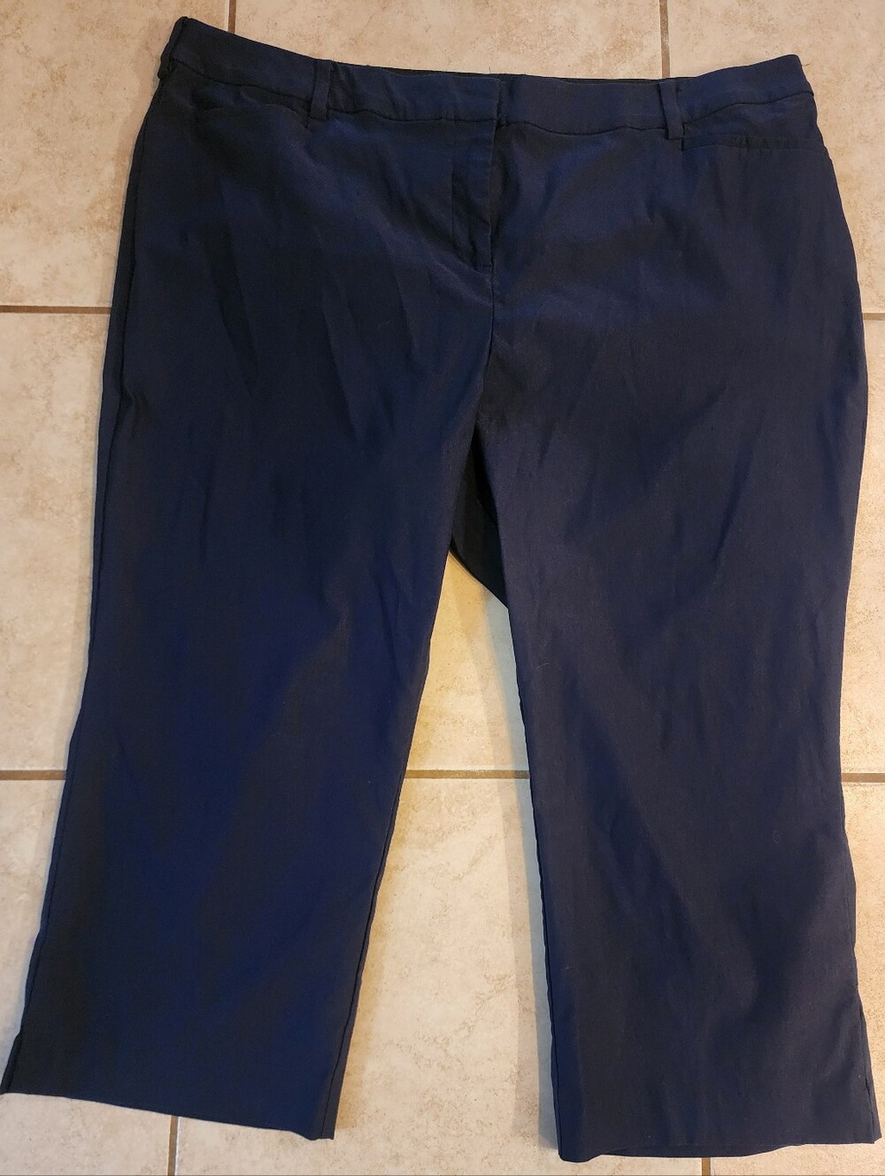 Womens Plus Lane Bryant Navy Blue Cropped Dress Pants Capris Size 24